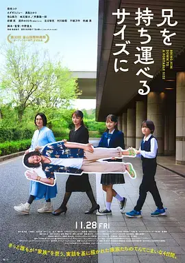 把哥哥带走 HD中字