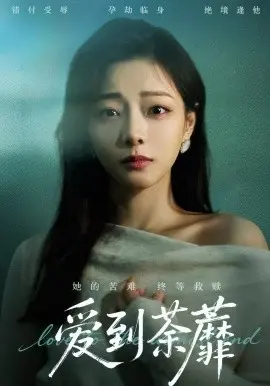 爱到荼蘼 第01集