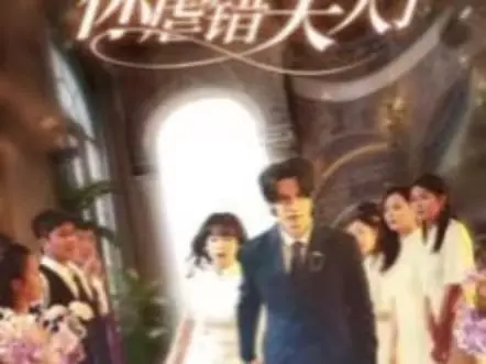 陆总住手吧,你虐错夫人了 第1-20集