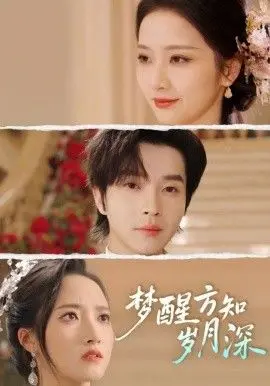 梦醒方知岁月深（梦醒时你在我身侧） 全集完结