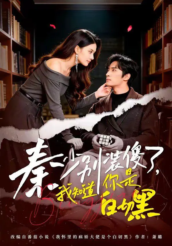 秦少别装傻了，我知道你是白切黑 全集完结