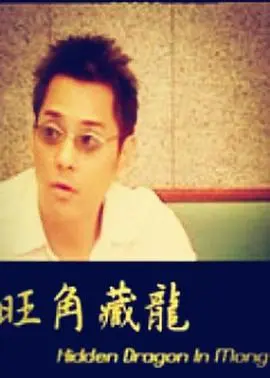 旺角藏龙 正片