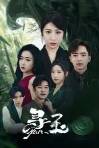 寻玉 第1-20集