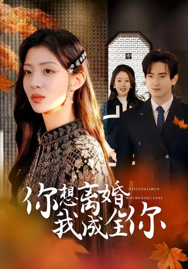 你想离婚我成全你 全集完结
