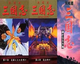 三国志：英雄的黎明 HD中字