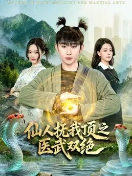仙人抚我顶之医武双绝 第01集