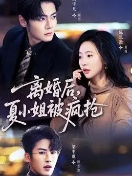 离婚后,夏小姐被疯抢 全集完结