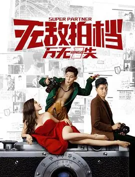 无敌拍档之万无一失 HD国语
