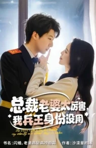 总裁老婆太厉害，我兵王身份没用