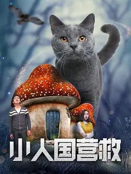 小人国营救 正片