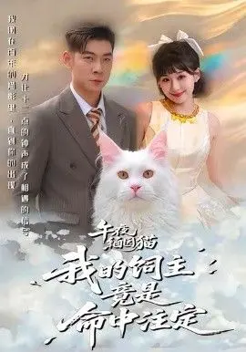 午夜缅因猫我的饲主竟是命中注定 全集完结