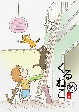 佝偻猫第二季 第1-12集