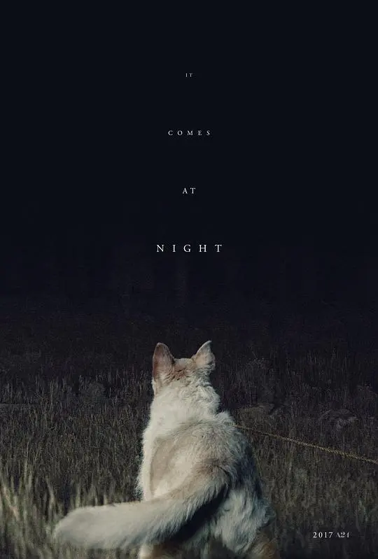 黑夜造访 正片