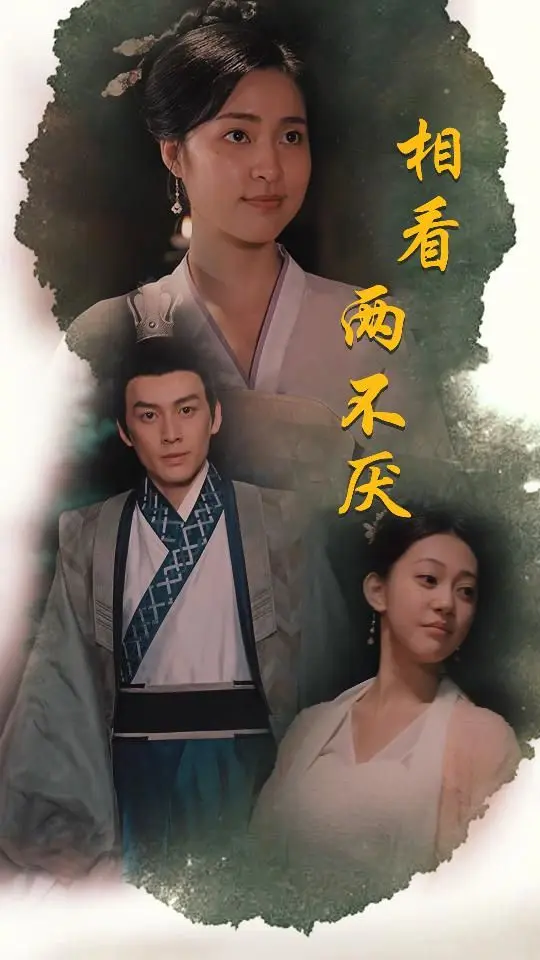 相看两不厌(这个王妃不好惹) 第1-20集