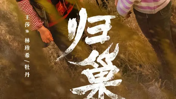 归巢 第1-40集