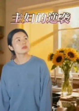 主妇的逆袭 第01集