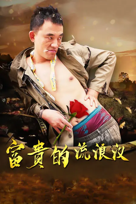 富贵的流浪汉 HD国语
