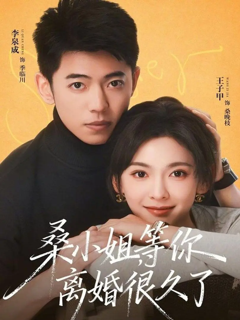 桑小姐，等你离婚很久了 第01集