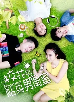 校花的贴身男闺蜜 HD国语
