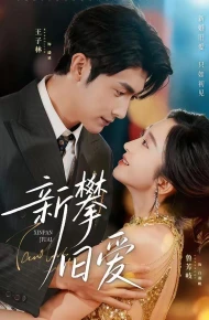 新攀旧爱