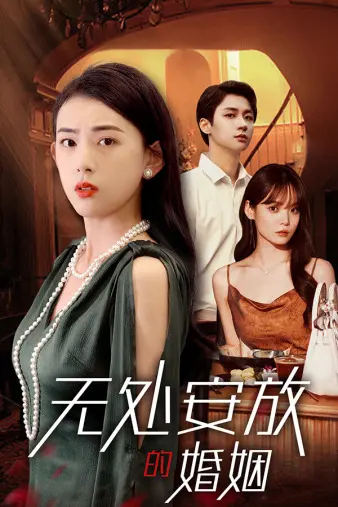 无处安放的婚姻 第1集