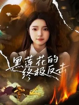 黑莲花的终极反击 全集完结