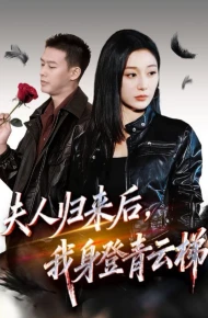 夫人归来后我身登青云梯