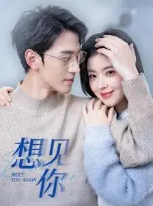 想见你 HD国语