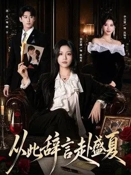从此辞言赴盛夏 全集完结