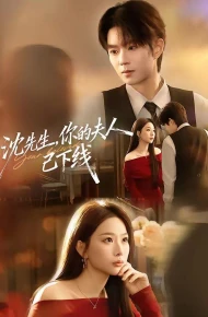 沈先生，你的夫人已下线