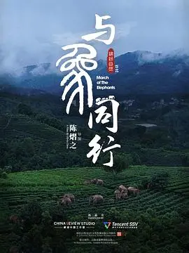与象同行 正片