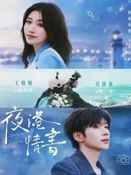 夜港情书 全集完结