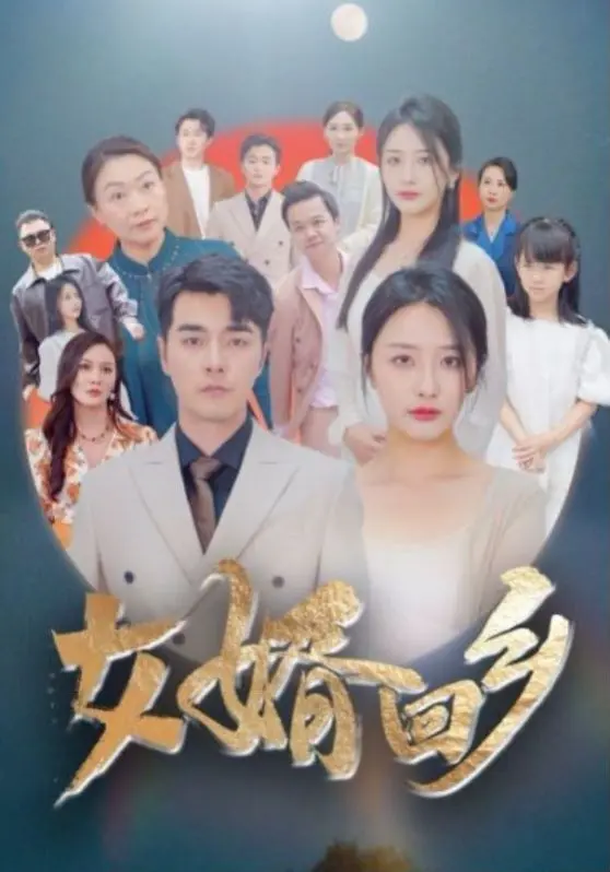 女婿回乡 第1-20集