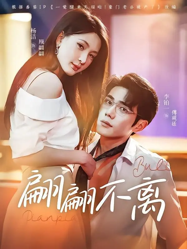 翩翩不离 第13集