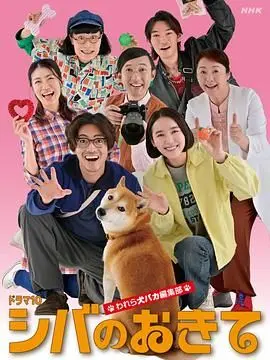 柴犬的规矩我们这群狗痴编辑部 第01集