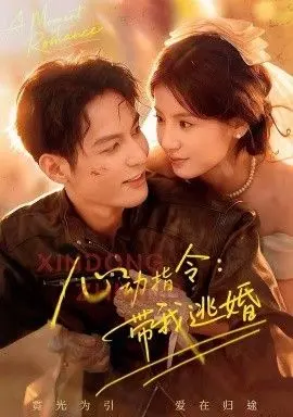 心动指令:带我逃婚,玫瑰窃贼 全集完结