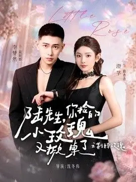 陆先生，你捡的小玫瑰又掀桌了之荆棘玫瑰（太子爷的小玫瑰又掀桌了） 全集完结
