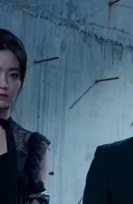 穿到现代来闪婚