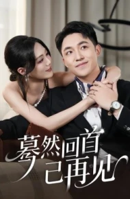 蓦然回首已再见