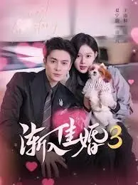 渐入佳婚3第三部 全集完结