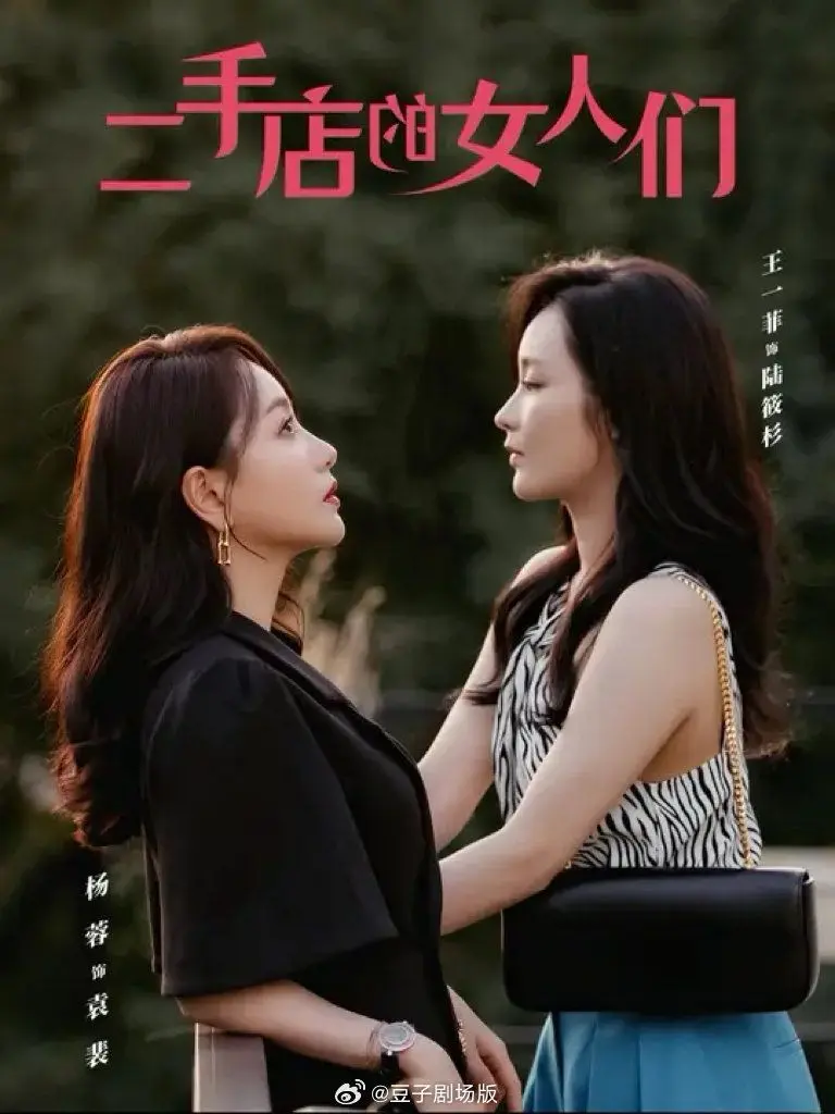 二手店的女人们(二十九) 全集完结