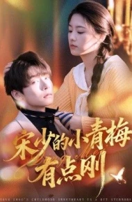 宋少的小青梅有点刚