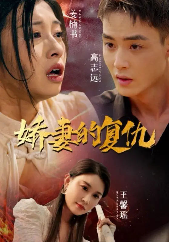 娇妻的复仇 第1-30集完结
