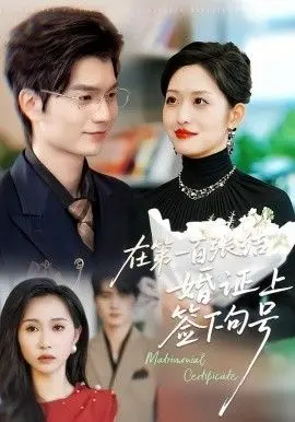 在第一百张结婚证上签下句号 全集完结