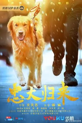忠犬归来 HD国语