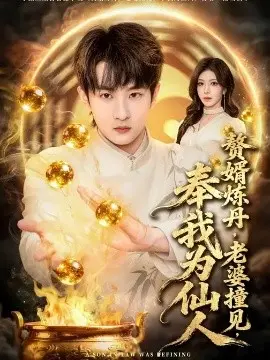 赘婿炼丹,老婆撞见,奉我为仙人 第01集