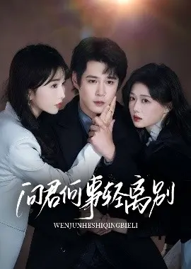 问君何事轻离别 第01集