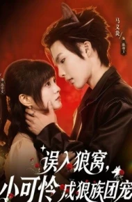 误入狼窝，小可怜成狼族团宠