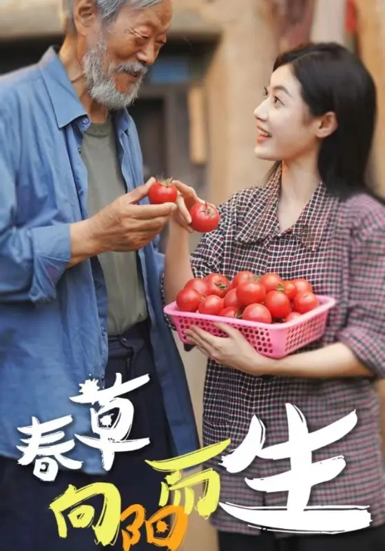 春草向阳而生 第1集