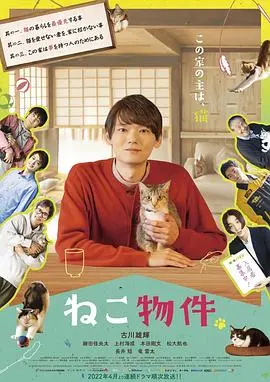 猫物件 第01集